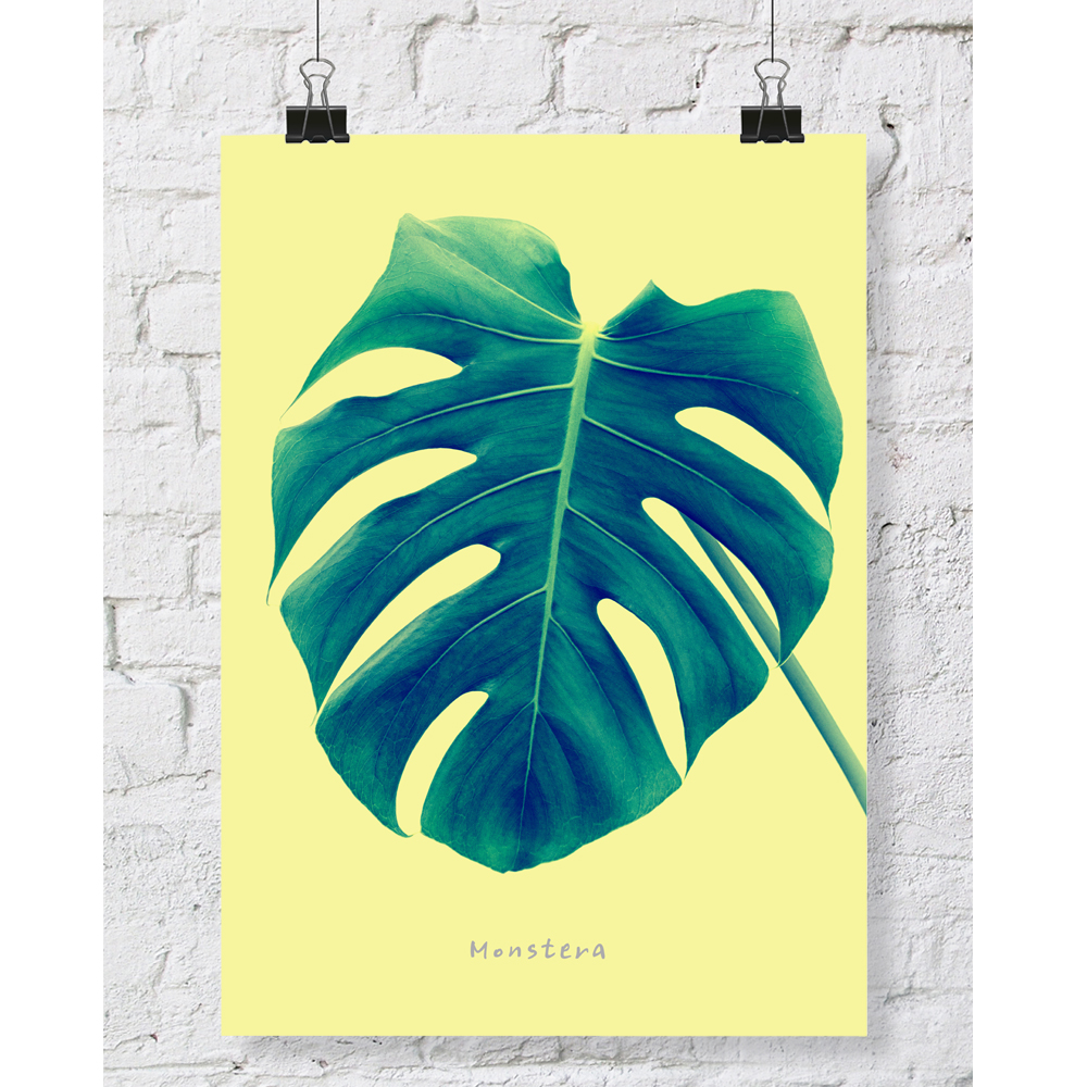 DGT-002 몬스테라 식물 인테리어 대형 포스터