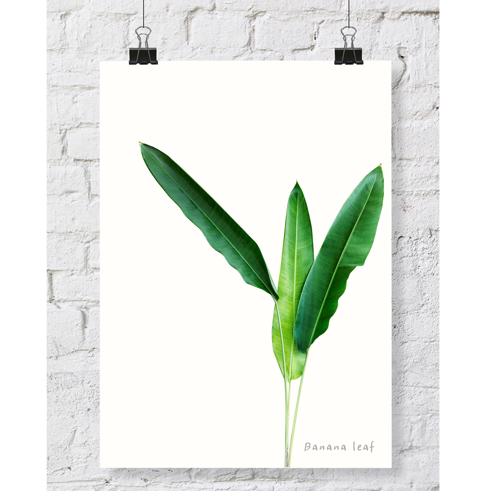 DGT-004 바나나잎 식물 인테리어 대형 포스터