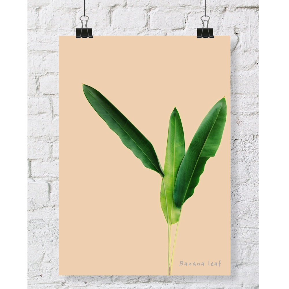 DGT-005 바나나잎 식물 인테리어 대형 포스터