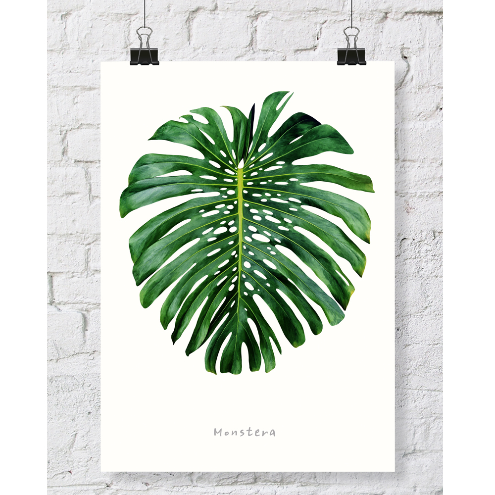 DGT-007 몬스테라 식물 인테리어 대형 포스터