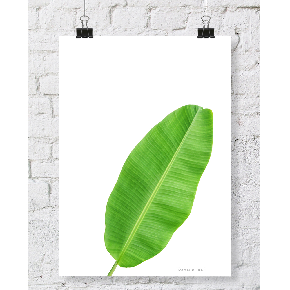 DGT-013 바나나잎 식물 인테리어 대형 포스터