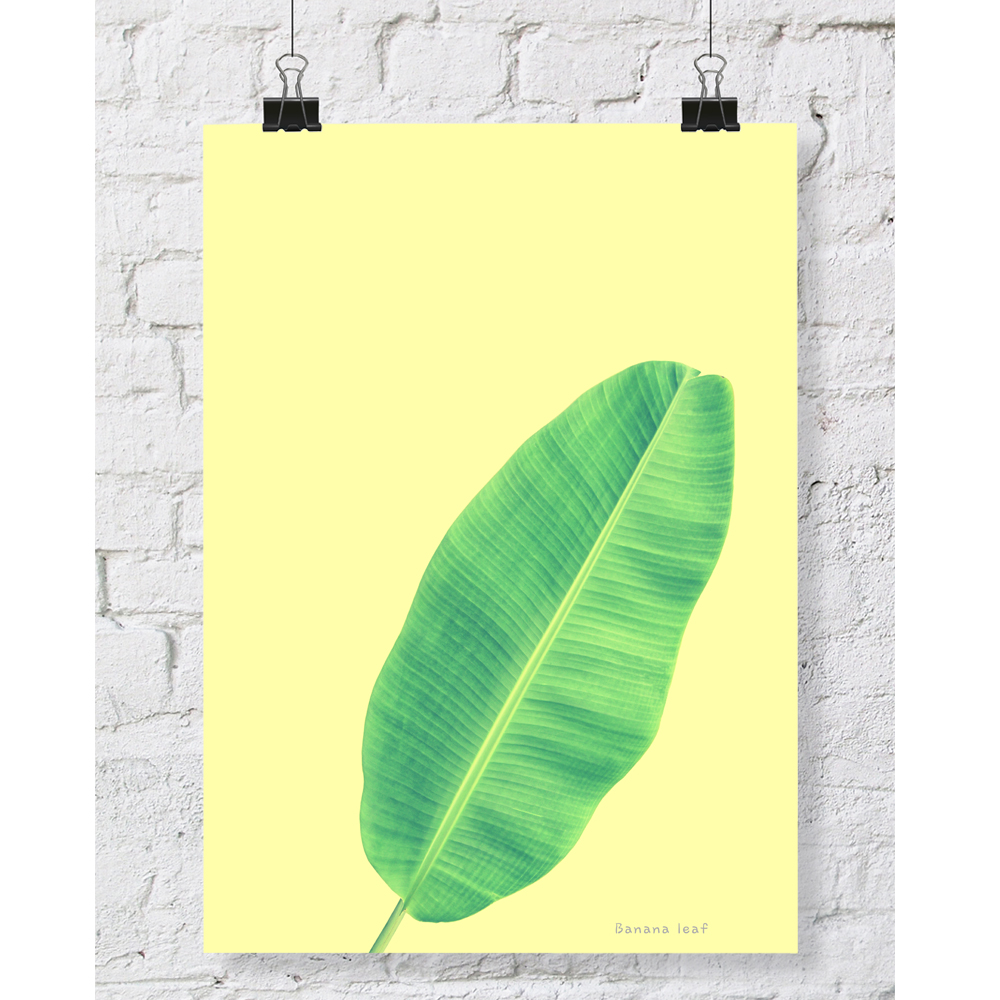 DGT-014 바나나잎 식물 인테리어 대형 포스터