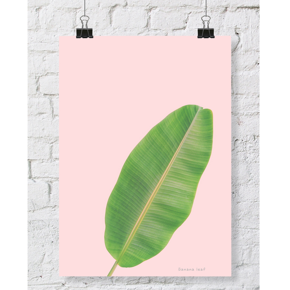 DGT-015 바나나잎 식물 인테리어 대형 포스터