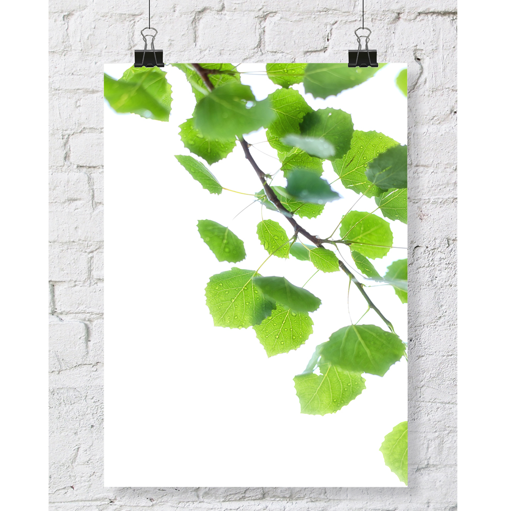DGT-016 나뭇잎 식물 인테리어 대형 포스터