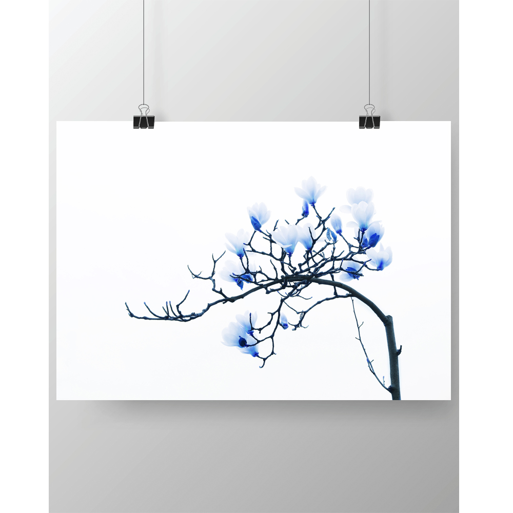 DGT-046 푸른빛을 내는 꽃 식물 인테리어 대형 포스터
