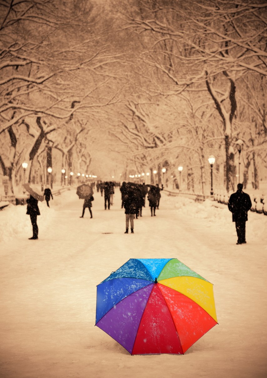 PGT-006 센트럴파크의 겨울 미국 뉴욕 랜드마크 대형 포스터