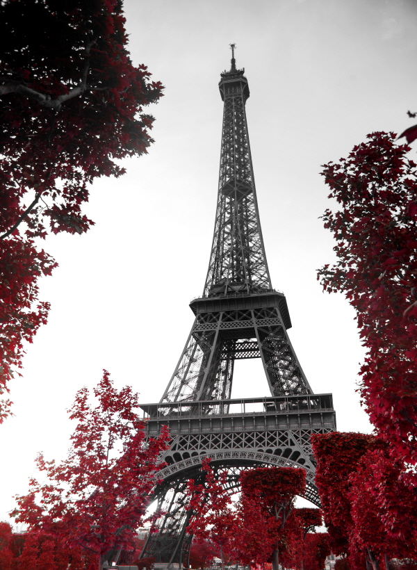 PGT-049 단풍과 에펠탑 프랑스 파리 랜드마크 대형 포스터