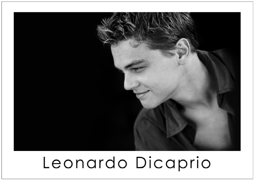 레오나르도 디카프리오 Leonardo DiCaprio 영화포스터