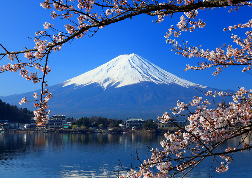 후지산의 아름다운 벚꽃 일본 포토그라피 포스터