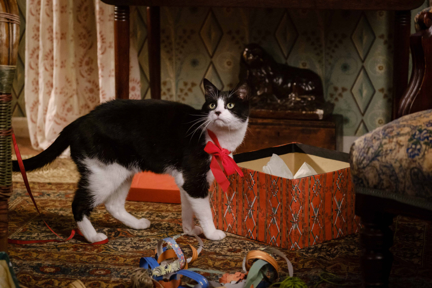 루이스 웨인 사랑을 그린 고양이 화가 영화포스터
